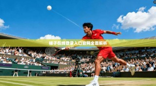 梯子在线登录入口官网全面解析