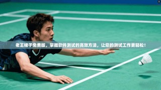 老王梯子免费版，掌握软件测试的高效方法，让您的测试工作更轻松！