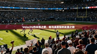 Velocity的永恒之爱，我与速度型的发展之路