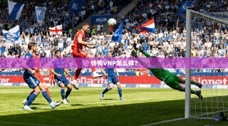 快鸭VNP怎么样？