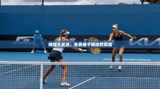 网络大反派，免费梯子网络的真相