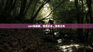 vpv加速器，技术之光，未来之光