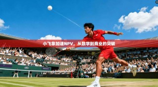 小飞象加速NPV，从数学到商业的突破