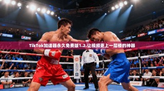 TikTok加速器永久免费版1.2.让视频更上一层楼的神器