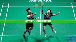 NPV梯子，决策分析的王炸！