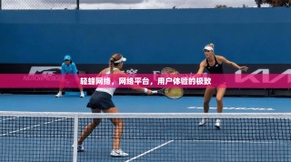 轻蜂网络，网络平台，用户体验的极致