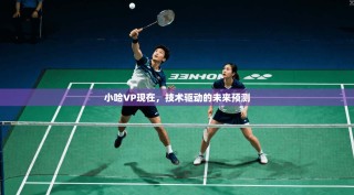 小哈VP现在，技术驱动的未来预测