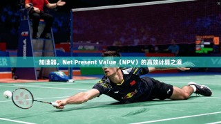 加速器，Net Present Value（NPV）的高效计算之道
