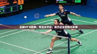 云梯VP N官网，专业云平台，助力企业创新与发展