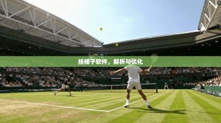 挂梯子软件，解析与优化