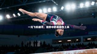 一元飞机梯子，维修中的革命性工具