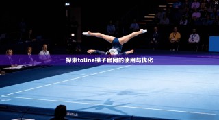 探索toline梯子官网的使用与优化
