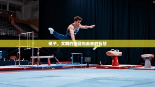 梯子，文明的象征与未来的智慧