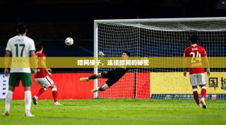 暗网梯子，连接暗网的秘密