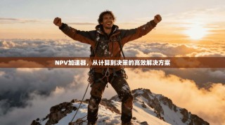 NPV加速器，从计算到决策的高效解决方案