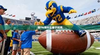 看TG用什么梯子好用