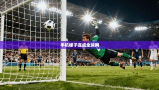 手机梯子连成全球网