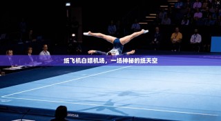 纸飞机白嫖机场，一场神秘的纸天空