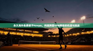 永久海外免费梯子Hzvpn，构建跨国VPN网络的机遇与挑战