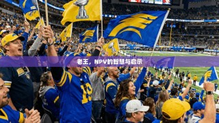 老王，NPV的智慧与启示