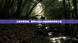 让技术更高效，解析letspvn快连官网的使用之道