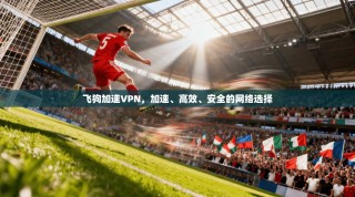 飞狗加速VPN，加速、高效、安全的网络选择