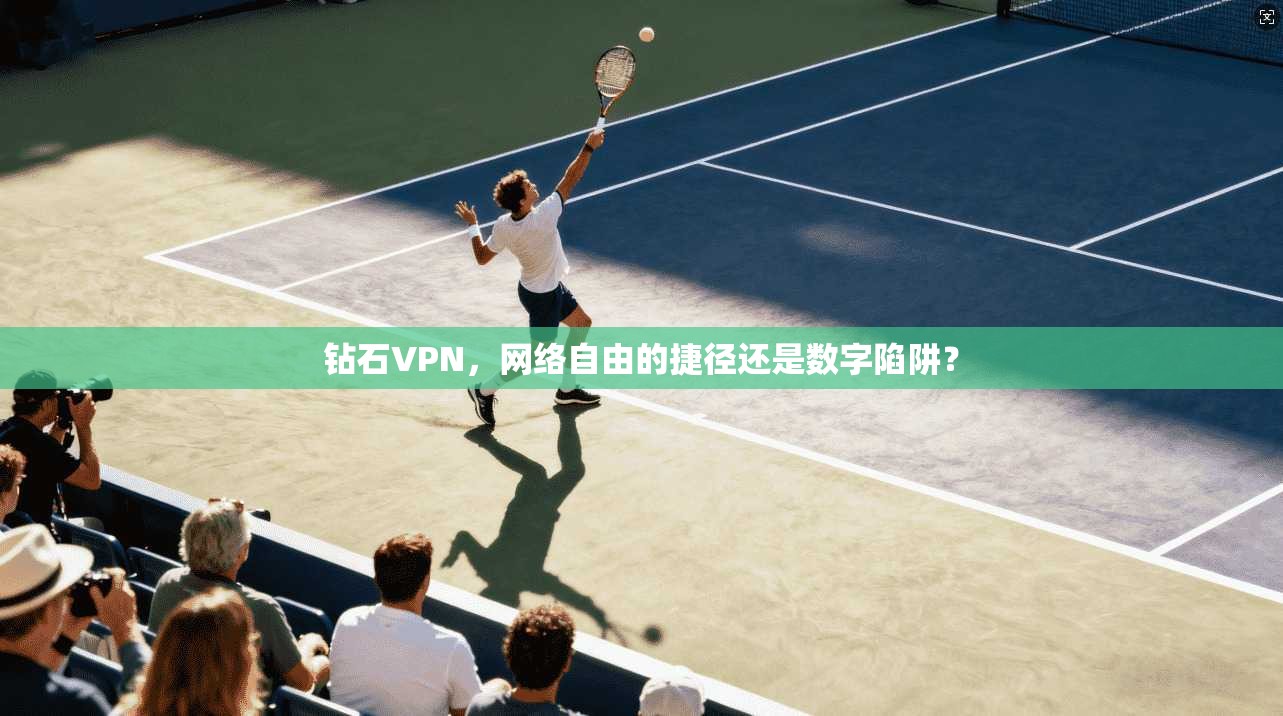 钻石VPN，网络自由的捷径还是数字陷阱？