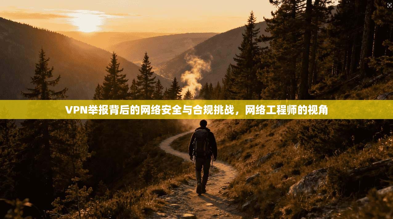 VPN举报背后的网络安全与合规挑战，网络工程师的视角