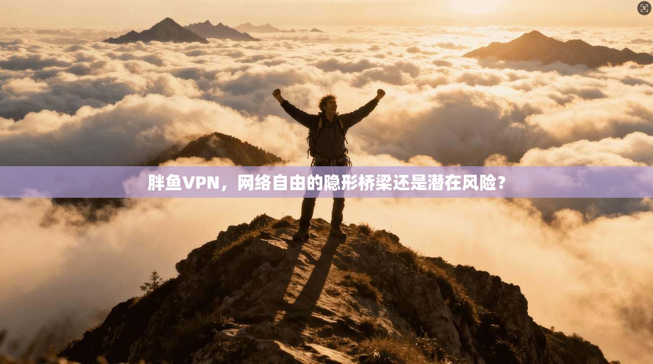 胖鱼VPN，网络自由的隐形桥梁还是潜在风险？