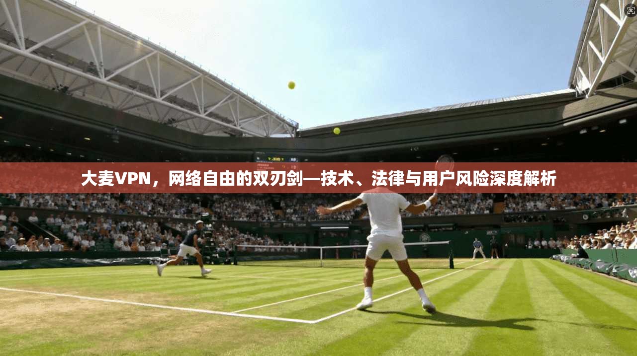 大麦VPN,网络自由的双刃剑—技术、法律与用户风险深度解析