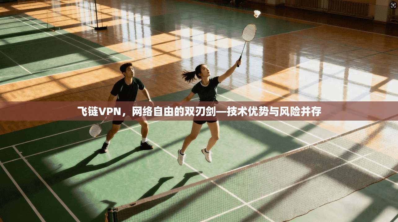 飞链VPN,网络自由的双刃剑—技术优势与风险并存