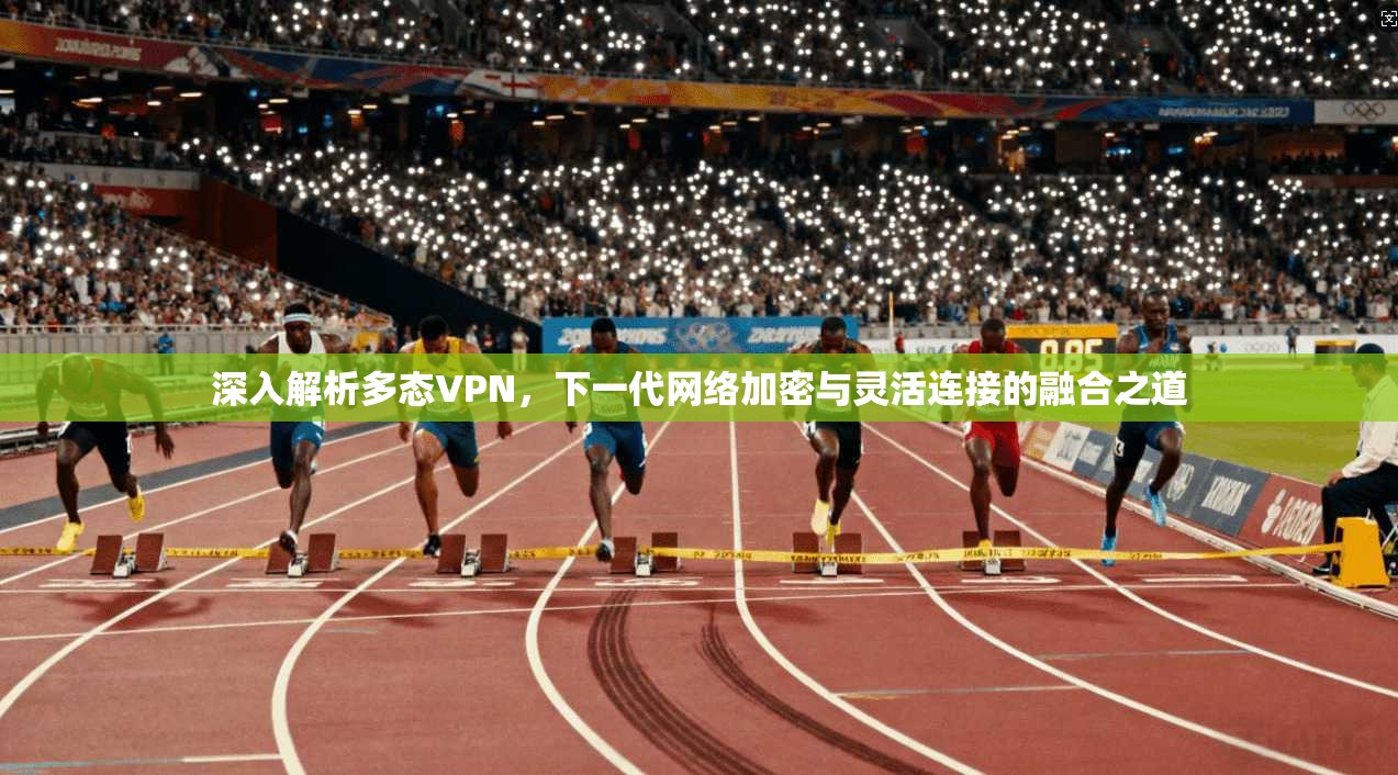 深入解析多态VPN,下一代网络加密与灵活连接的融合之道