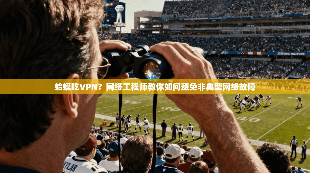 蛤蟆吃VPN?网络工程师教你如何避免非典型网络故障