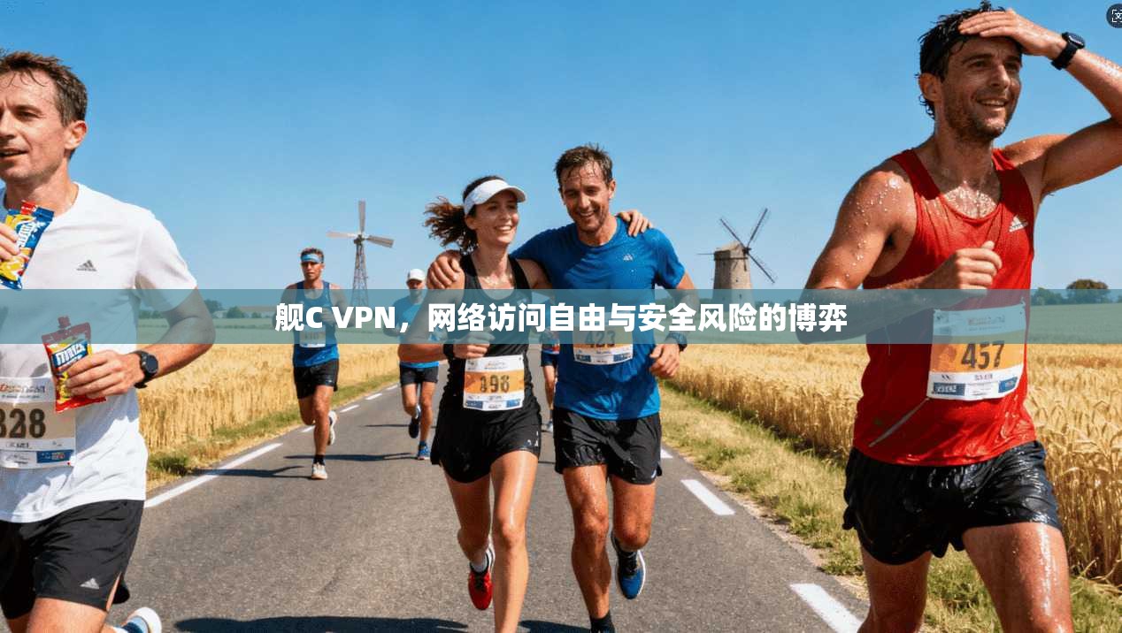 舰C VPN，网络访问自由与安全风险的博弈