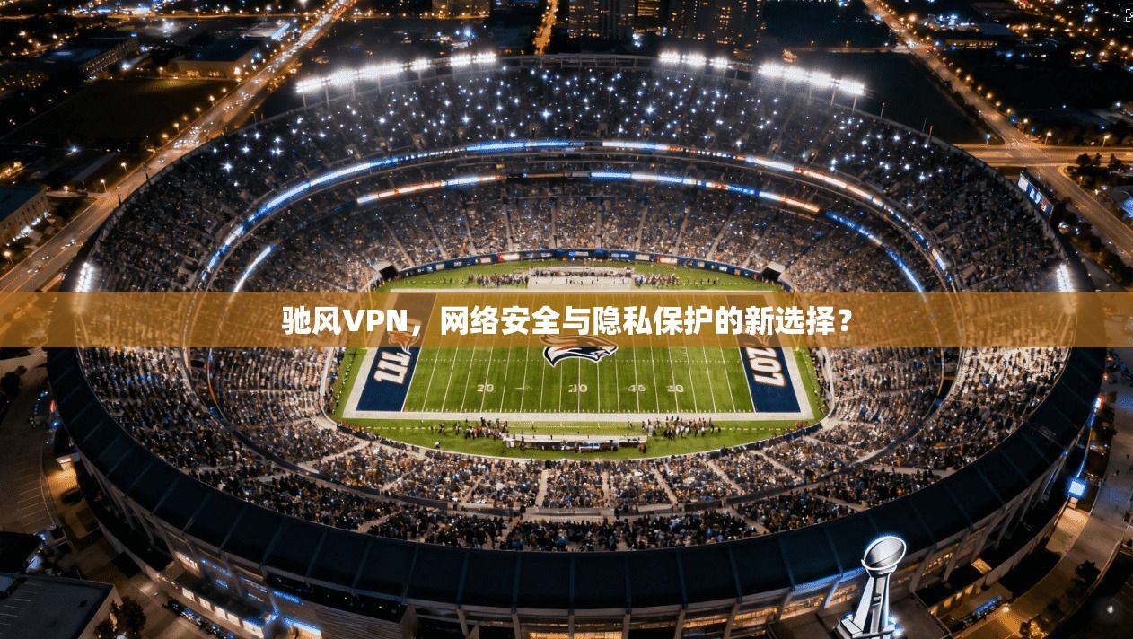 驰风VPN,网络安全与隐私保护的新选择?