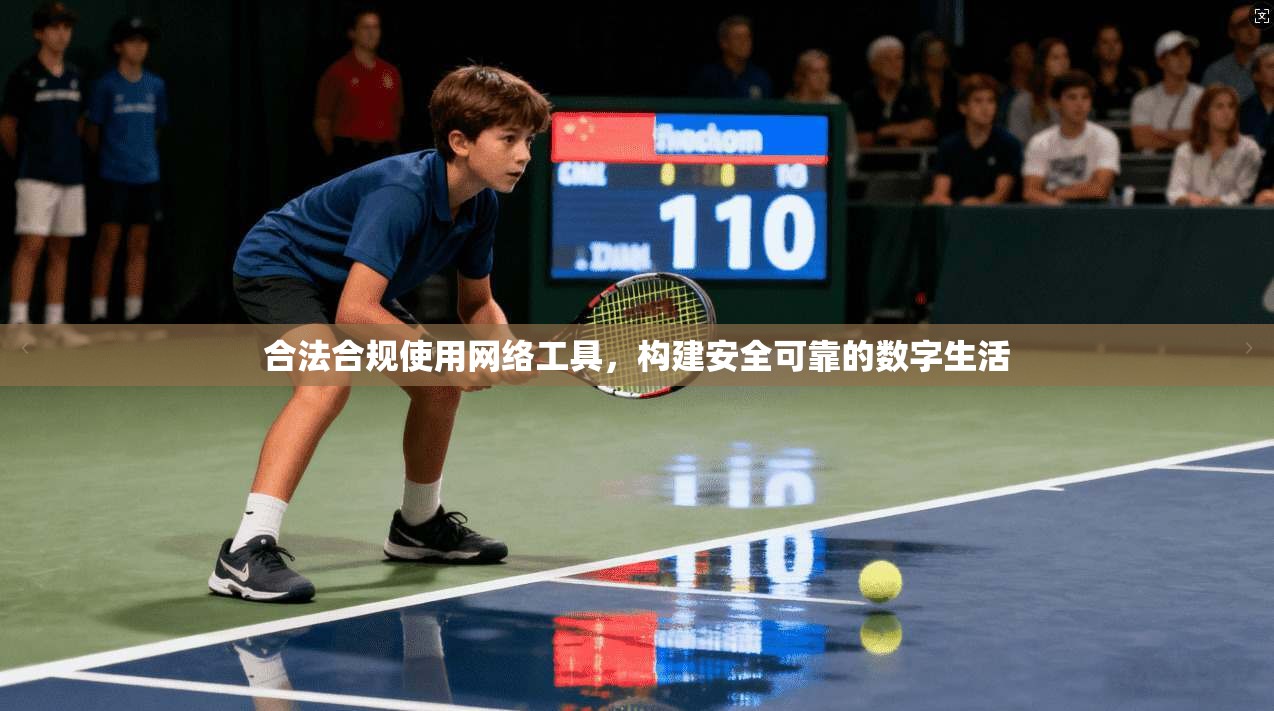 合法合规使用网络工具，构建安全可靠的数字生活