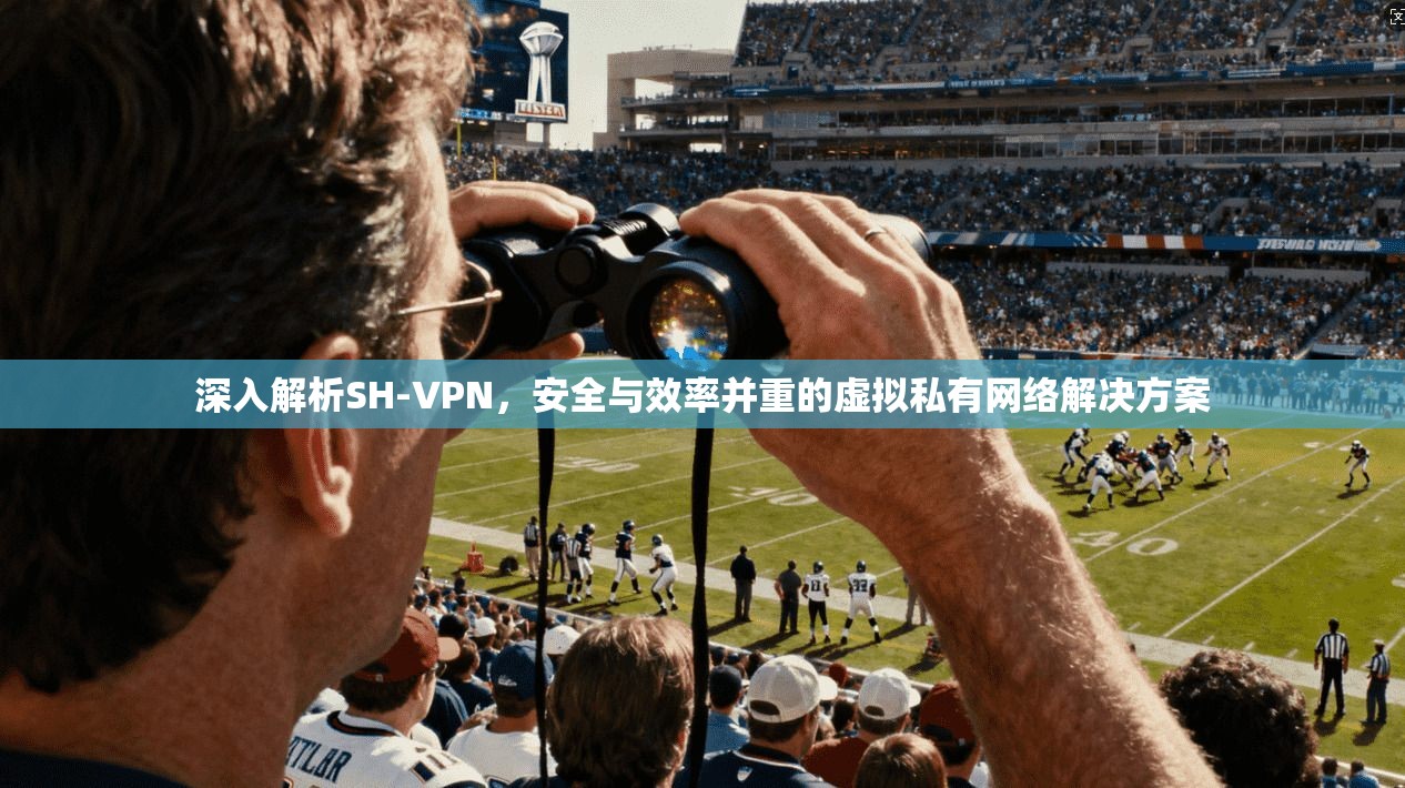 深入解析SH-VPN，安全与效率并重的虚拟私有网络解决方案