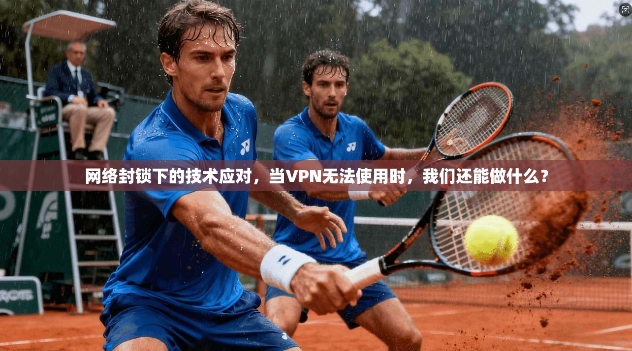 网络封锁下的技术应对,当VPN无法使用时,我们还能做什么?