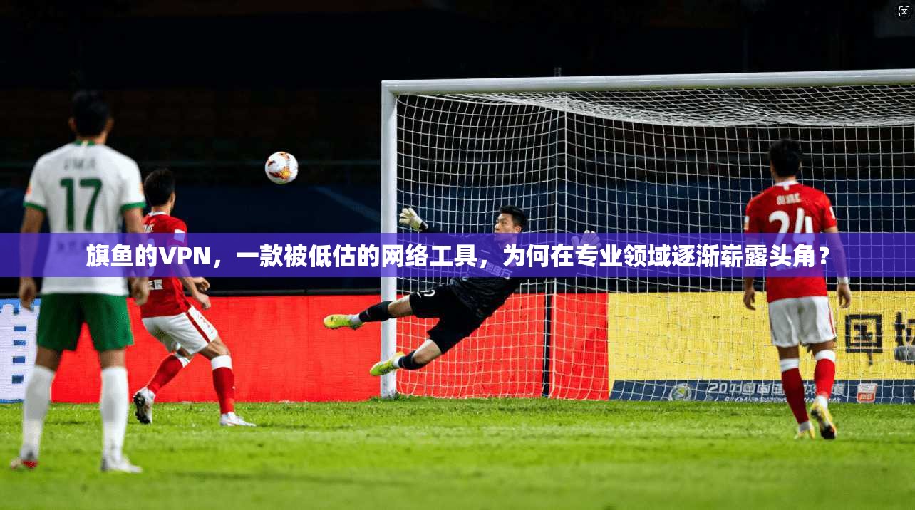 旗鱼的VPN,一款被低估的网络工具,为何在专业领域逐渐崭露头角?