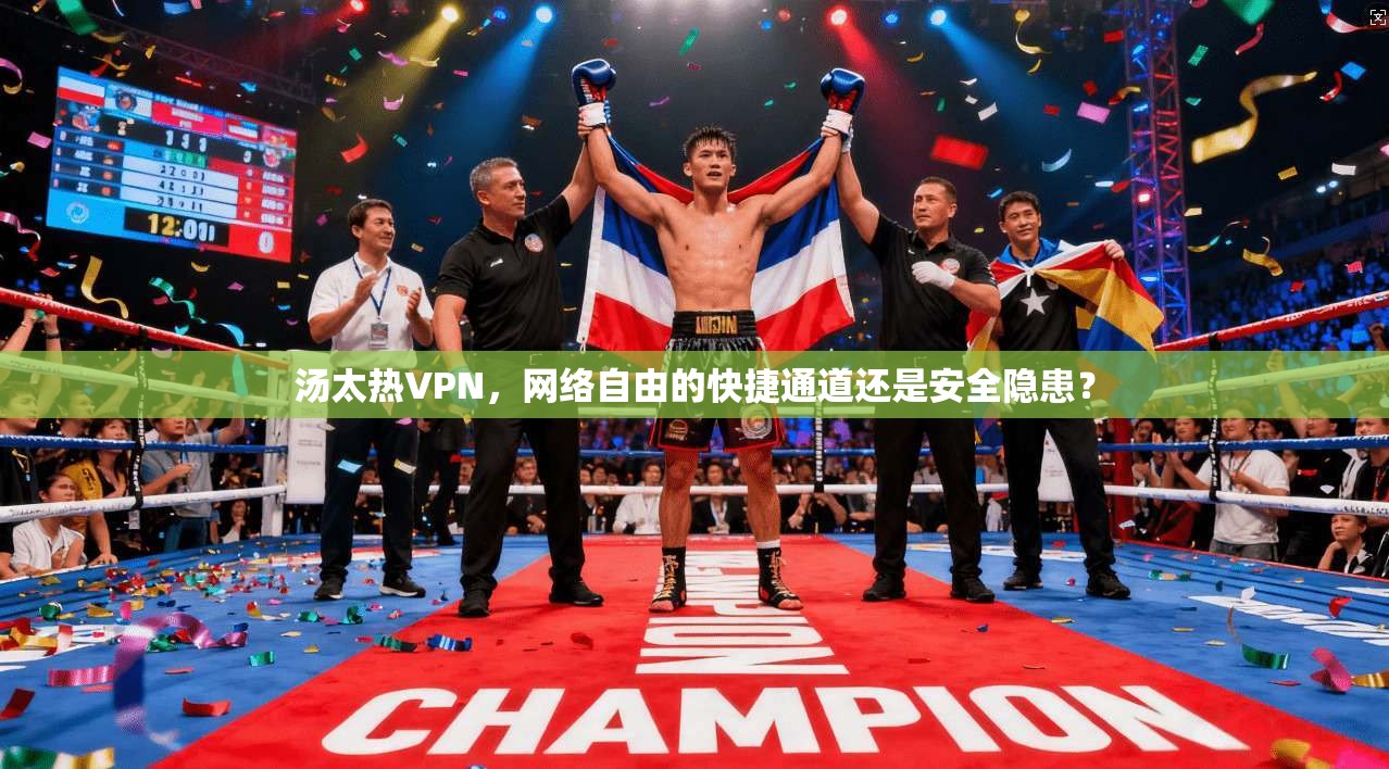 汤太热VPN，网络自由的快捷通道还是安全隐患？