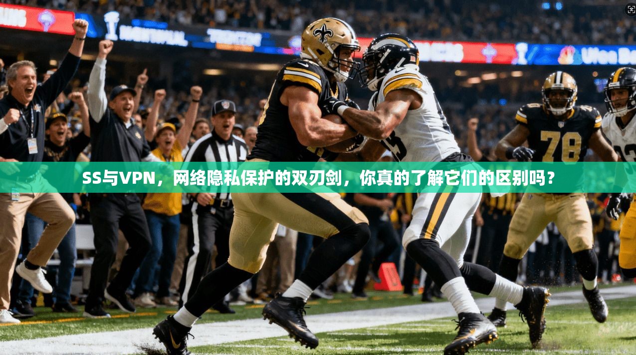 SS与VPN，网络隐私保护的双刃剑，你真的了解它们的区别吗？