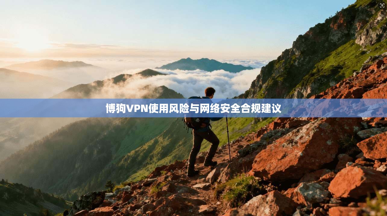 博狗VPN使用风险与网络安全合规建议
