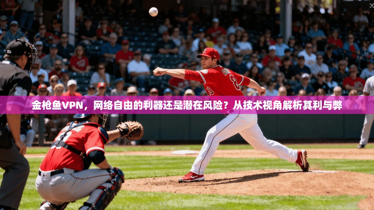 金枪鱼VPN，网络自由的利器还是潜在风险？从技术视角解析其利与弊