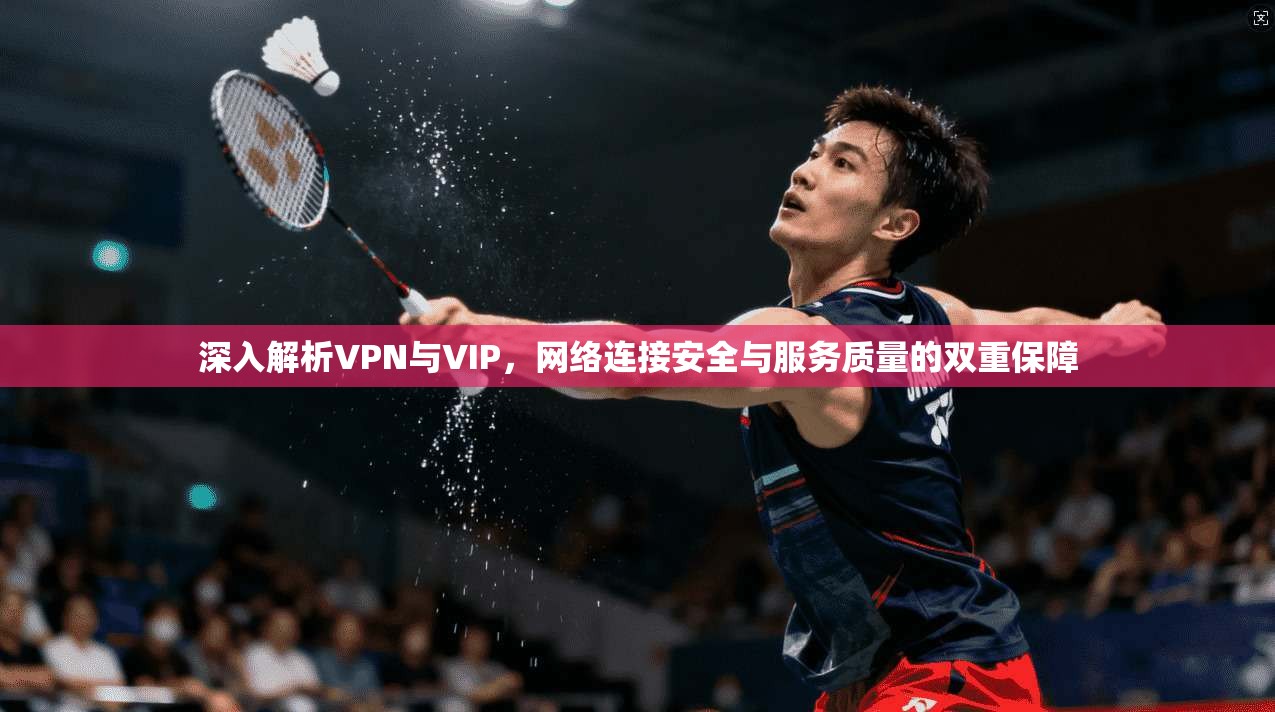 深入解析VPN与VIP,网络连接安全与服务质量的双重保障