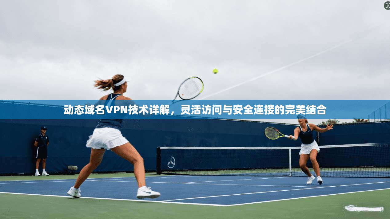 动态域名VPN技术详解，灵活访问与安全连接的完美结合