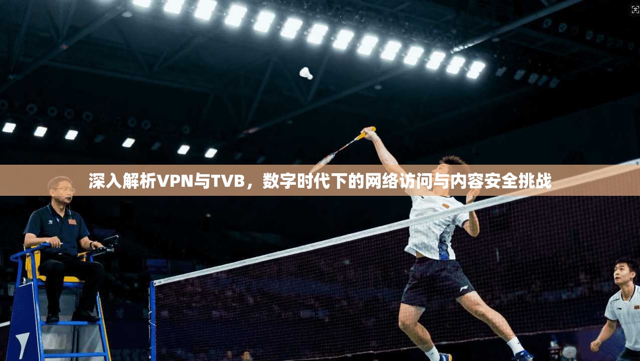 深入解析VPN与TVB，数字时代下的网络访问与内容安全挑战