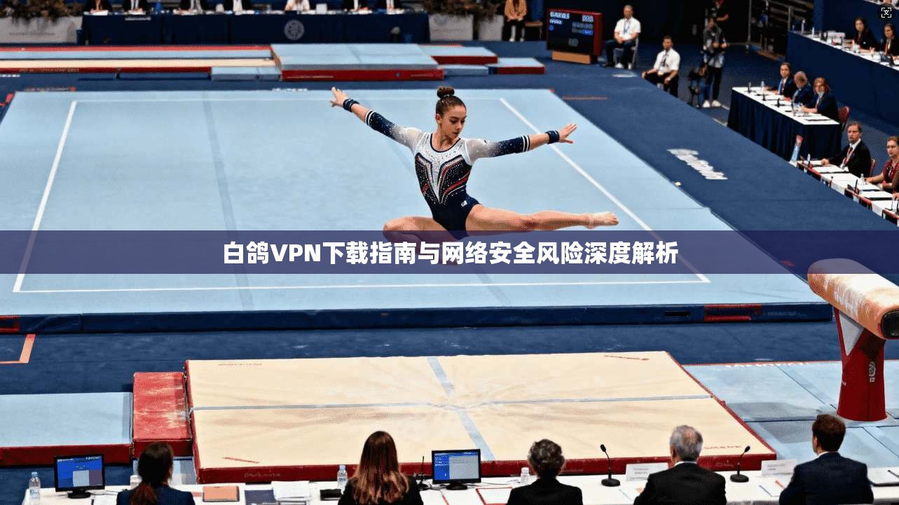 白鸽VPN下载指南与网络安全风险深度解析