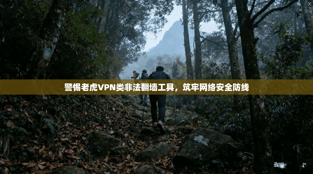 警惕老虎VPN类非法翻墙工具，筑牢网络安全防线