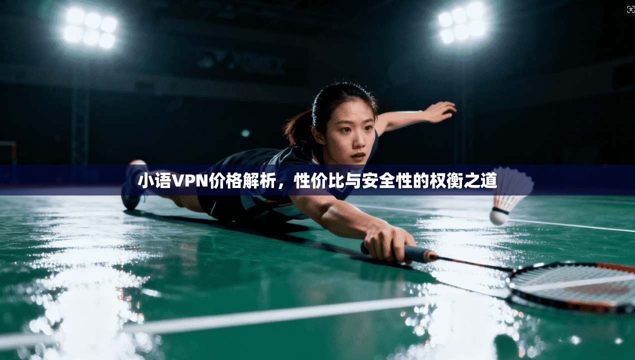 小语VPN价格解析，性价比与安全性的权衡之道