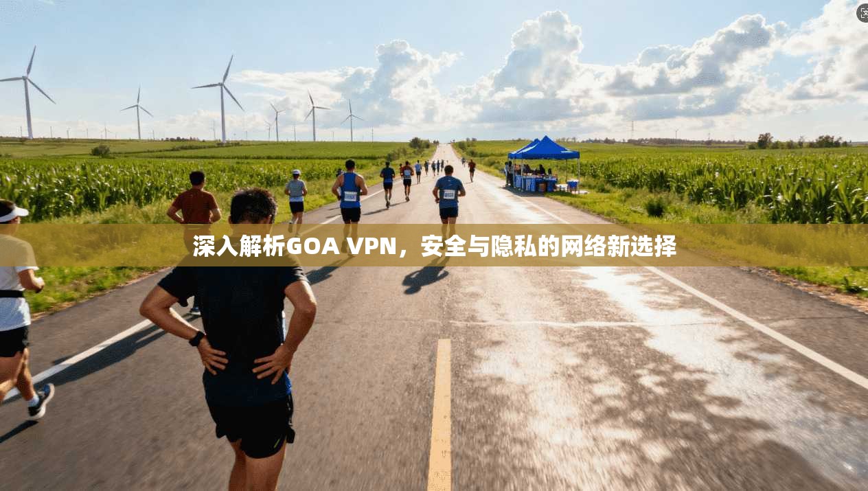 深入解析GOA VPN，安全与隐私的网络新选择